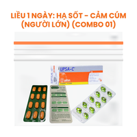 Liều dùng: Hạ sốt - Cảm cúm (Người lớn) - Combo 01