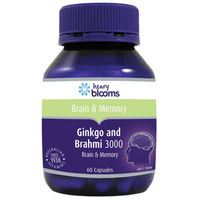 Viên uống tuần hoàn não Ginkgo Brahmi 3000 (Hộp lớn)
