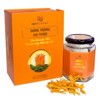 Đông Trùng Hạ Thảo Như Ý (Hộp 10 gram)