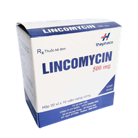 Thuốc kháng sinh Lincomycin 500 Thanh Hóa (Hộp 200 viên)