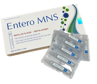 Men vi sinh hỗ trợ tiêu hóa Entero MNS Tradiphar (Hộp 20 ống 5ml)