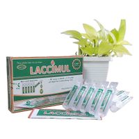Men vi sinh hỗ trợ tiêu hóa Laccimul (Hộp 20 ống 5ml)