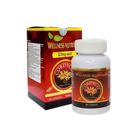 Viên uống tăng đề kháng Wellness Nutrition (Chai 30 viên)