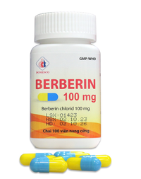 Thuốc điều trị tiêu chảy Berberin 100 Đồng Tháp (Chai 100 viên)