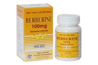 Thuốc điều trị tiêu chảy Berberine 100 Mekophar (Chai 100 viên)