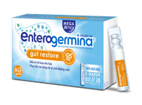 Men vi sinh Enterogermina 4 tỷ/5ml tăng cường tiêu hóa (Hộp 20 ống)