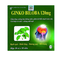 Viên uống bổ não Ginko Biloba 120Mg Vinaphar (Hộp 100 viên)