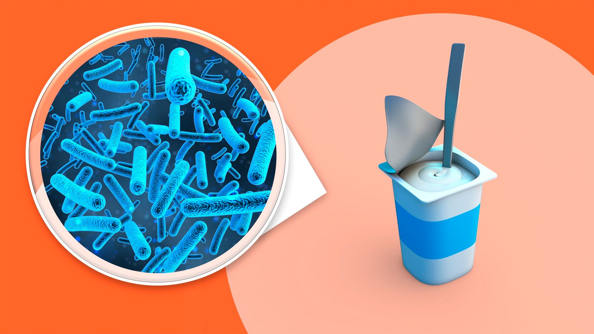 Hướng dẫn chọn men vi sinh (probiotic) cho người lớn: Chủng, liều lượng và cách dùng đúng
