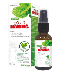 Xịt họng ho Bổ Phế Nam Hà (Chai 30ml)