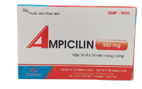 Thuốc kháng sinh Ampicilin 500 Thanh Hóa (Hộp 100 viên)